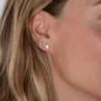 leah-climber-stud-earring-14k-807459